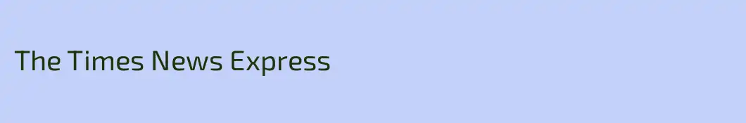 The Times News Express
